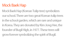 Tulip tree:Tulip tree symbolizes our school. There are two
massive tulip trees in the school garden, which
are rare and unique in Korea. They are donated
by Kim Jong Hee in 1977,  the school founder. 
Those trees will grow forever as symbolizing
the spirit of Bugil. 