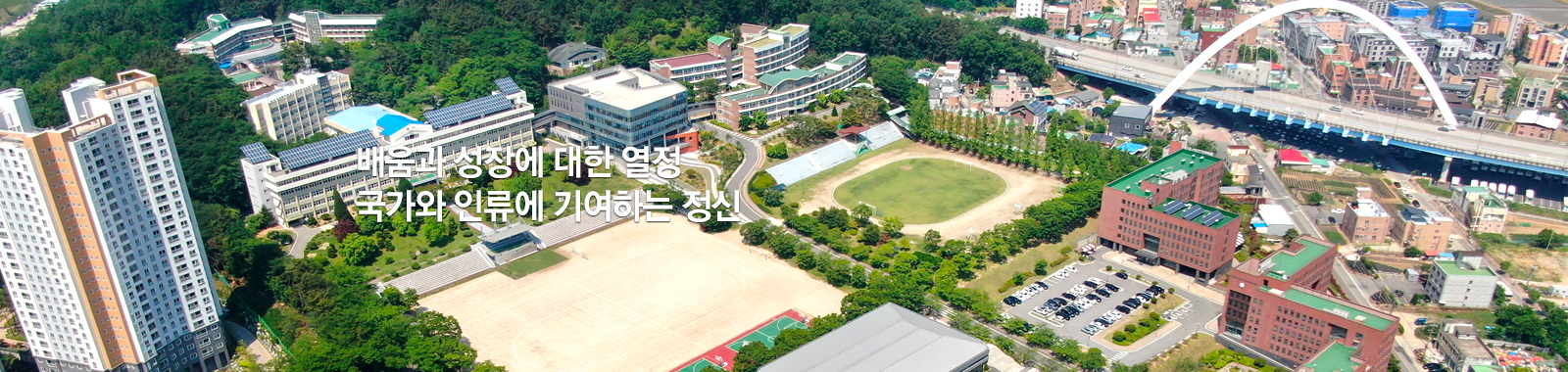 배움과 성장에 대한 열정,