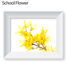 School Flower