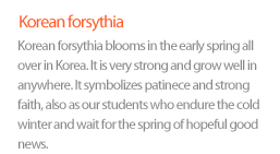 Korean forsythia:Korean forsythia blooms in the early spring all over
in Korea. It is very strong and grow well anywhere. 
It symbolizes patience and strong faith, also as our
students who endure the cold winter and wait for
the spring of hopeful good news. 