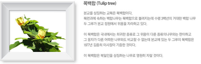 목백합 (Tulip tree).본교를 상징하는 교목은 목백합이다.
목련과에 속하는 백합나무는 목백합으로 불려지는데 수령 3백년의 거대한 백합 나무
두 그루가 본교 정원에서 위용을 자라하고 있다.

이 목백합은 국내에서는 희귀한 종류로 그 위용이 다른 종류의나무와는 판이하고 
그 웅자가 다른 어떠한 나무와도 비교할 수 없는데 본교에 있는 두 그루의 목백합은 
1977년 김종희 이사장이 기증한 것이다.

이 목백합은 북일인을 상징하는 나무로 영원히 자랄 것이다.